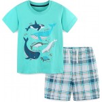 Boy Clothes 100% Cotton Jersey Short Sleeve T-Shirt 